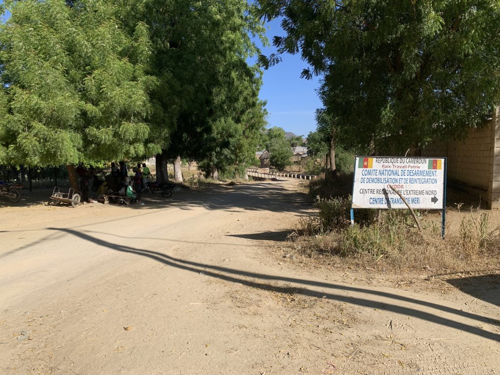 Kampf gegen Boko Haram. Ausbau der DDR-Zentren in der Sahelzone als Reintegrationsangebot