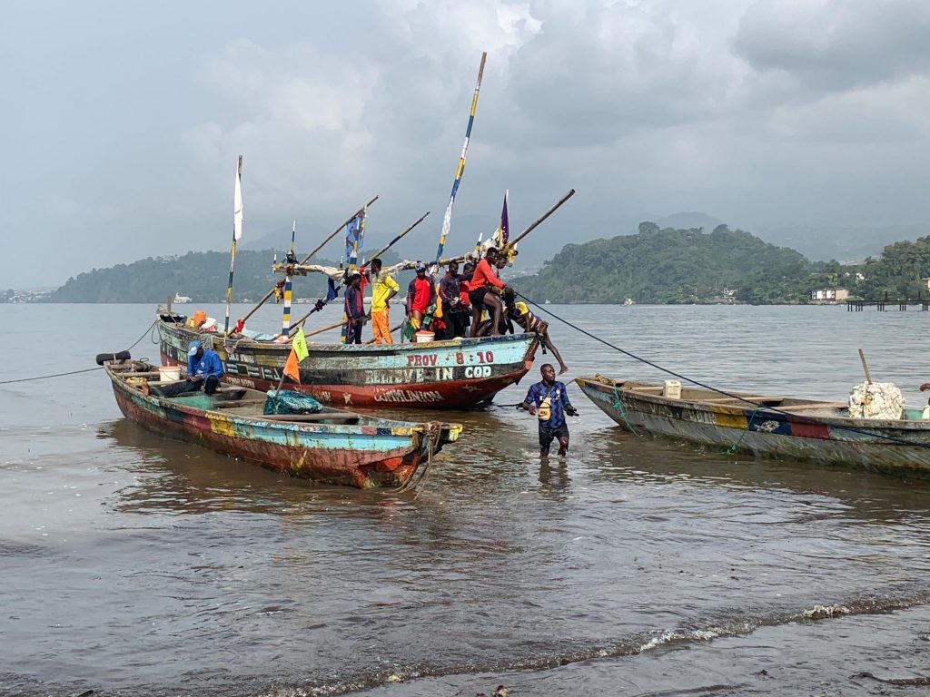 Illegale Fischerei und Überfischung im Golf von Guinea/Kamerun